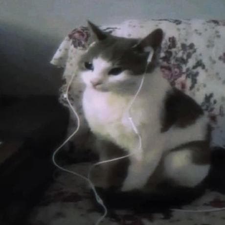 Foto de Nacho